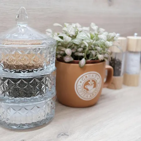 アパート Spacemore Apartments, Dmowskiego - 20 Minut Do Rynku, Self Check-in 24h, Parking, Bikes